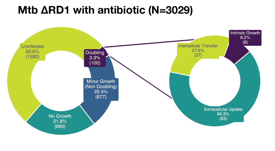 Supplementary Figure S1H